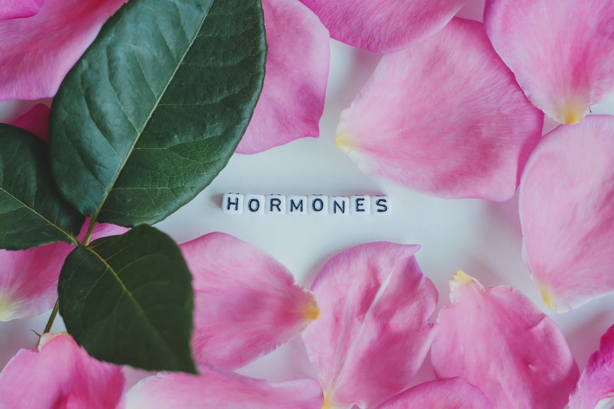 Hormones with rose petals all around